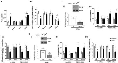 Agonists for Bitter Taste Receptors T2R10 and T2R38 Attenuate LPS-Induced Permeability of the Pulmonary Endothelium in vitro